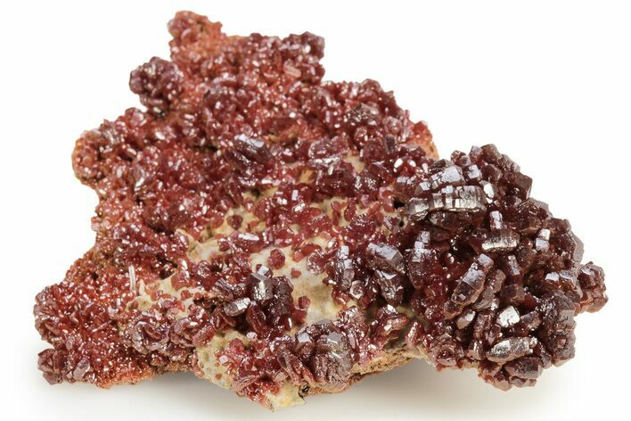 Dark Red Vanadinite Crystal Cluster- Morocco #223692